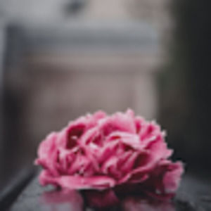 Meet your Posher, Dian